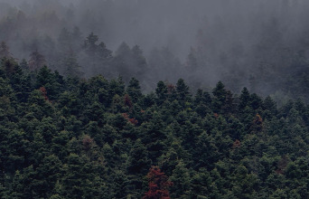 Εκδρομή με το αυτοκίνητο: μια απόδραση του μυαλού