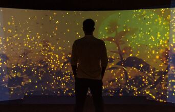 Το Εθνικό Μουσείο Φυσικής Ιστορίας Γουλανδρή  παρουσιάζει τη συναρπαστική Έκθεση «Βιοποικιλότητα. Όλα συνδέονται».