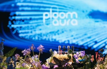 Ploom