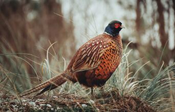 athensvoice_-_2025-12-02t172543_618