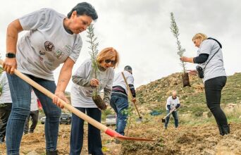 Φύτεψε σήμερα – Ανάπνευσε Αύριο: Η Σέριφος πρωτοπορεί στην αντιμετώπιση της κλιματικής κρίσης
