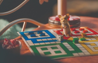 Ποντικούλης