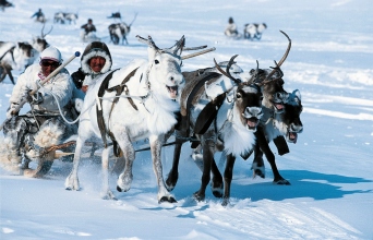 Λευκός Παράδεισος