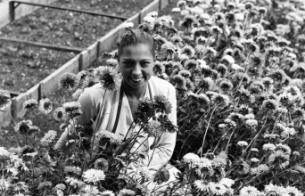 Τζόζεφιν Μπέικερ