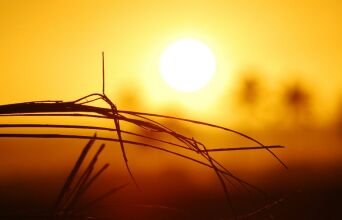 Copernicus: Ο Ιανουάριος του 2026 ήταν ο 5ος θερμότερος που καταγράφτηκε ποτέ