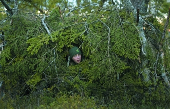 Το τραγούδι του Δάσους