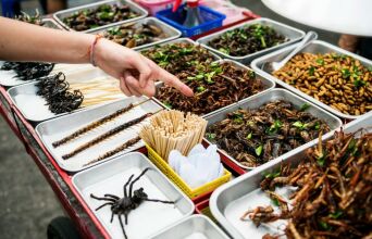 Η τεχνολογία και η επιστήμη εντάσσουν τα έντομα στη διατροφή μας