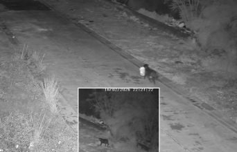 Άνδρας στη Σικελία εκπαίδευσε τον σκύλο του να αφήνει σκουπίδια στον δρόμο για να αποφεύγει κάμερες - Ταυτοποιήθηκε και τιμωρήθηκε.