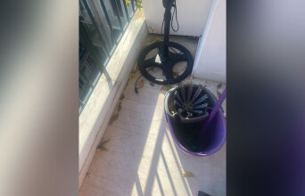 Σε βλέπω άσχετο με τα μεσιτικά!