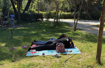 Σε βλέπω να λιάζεσαι σαν σαύρα