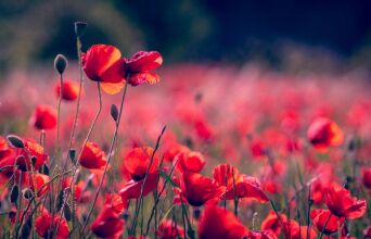 Πρωτομαγιά 2027: Πώς προκύπτει απρόσμενο πενθήμερο αργίας