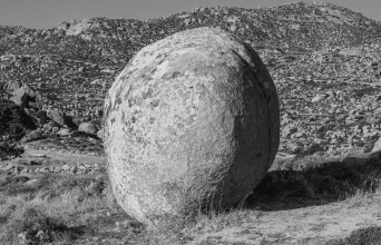 Βώλακας | Τήνος