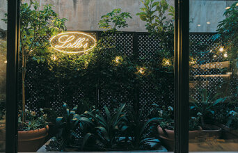 Lollo’s