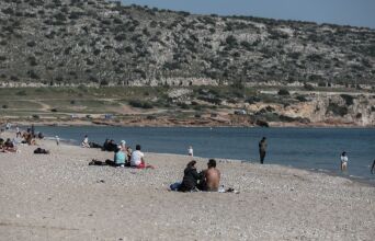 Λαγοκέφαλος επιτέθηκε σε γυναίκα που κολυμπούσε στη Βάρκιζα - Τη δάγκωσε στο πόδι, χρειάστηκε ράμματα