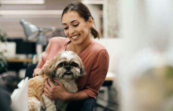 Νέα έρευνα της Mars: Οι pet-friendly χώροι εργασίας κερδίζουν έδαφος - Η Gen Z και οι Millennials οδηγούν την αλλαγή 