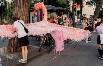 Αλβανία: Η Επανάσταση των Φλαμίνγκο