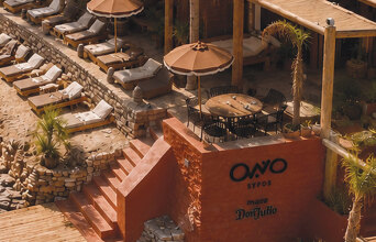 Ono Concept