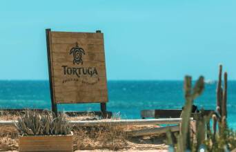 Tortuga Νάξος