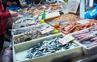 Fish Guide: Ένας οδηγός επιβίωσης για τα ψάρια που τρώμε και τις θάλασσες που αδειάζουν