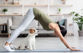 Πρώτη φορά Puppy Yoga στη Χαλκιδική με διασωθέντα κουτάβια - Πρωτοβουλία ευεξίας και φιλανθρωπίας για την ενίσχυση αδέσποτων ζώων.