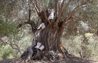 Εγκαίνια για την έκθεση «Nurturing Mechanisms: Συνυφάνσεις στις Καμπόνες» στη Νάξο
