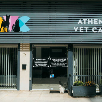 Athens vet care
