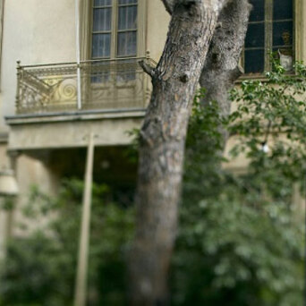 Ίδρυμα Γιάννη Τσαρούχη