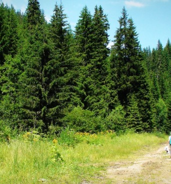 Wellness, κρασί και φύση: Ανακαλύπτοντας τη μαγεία της Δράμας