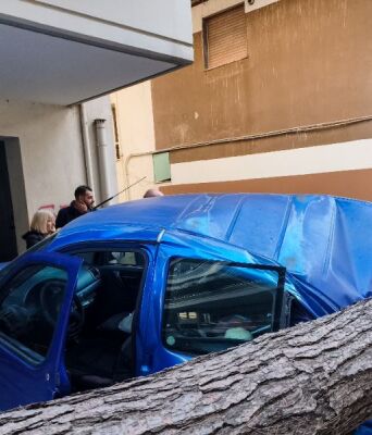 Θεσσαλονίκη: Πτώση μεγάλου δένδρου στη Χαριλάου- Ζημιές σε σταθμευμένα ΙΧ