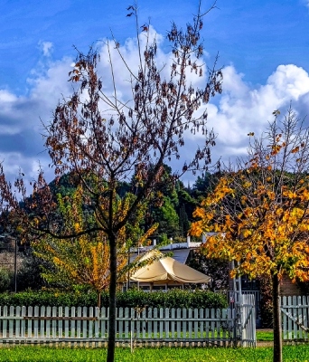 Καιρός αύριο: Ηλιοφάνεια σε όλη τη χώρα - Έως τους 19 βαθμούς Κελσίου η θερμοκρασία