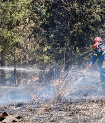 Ρεκόρ συλλήψεων για εμπρησμούς από αμέλεια το τελευταίο διήμερο