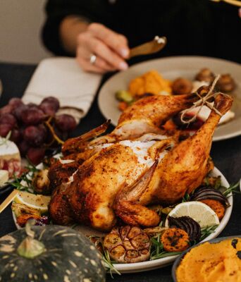 Γαλοπούλα: όλα όσα πρέπει να ξέρεις για να μαγειρέψεις το πουλί της γιορτής