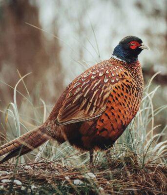 athensvoice_-_2025-12-02t172543_618