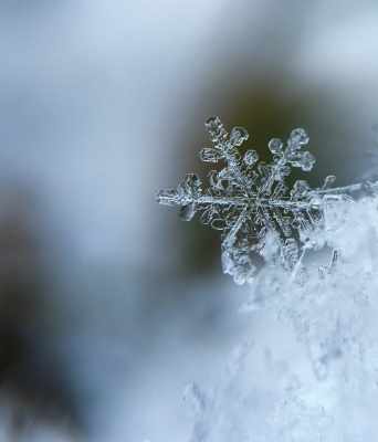 Χιονονιφάδα