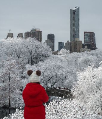 Χιόνια στη Νέα Υόρκη - Το Central Park χιονισμένο και μαγευτικό 