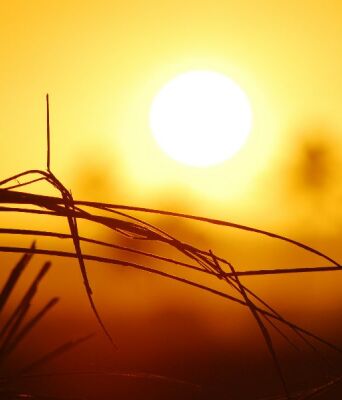 Copernicus: Ο Ιανουάριος του 2026 ήταν ο 5ος θερμότερος που καταγράφτηκε ποτέ