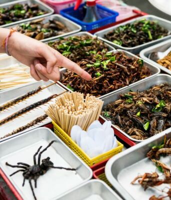 Η τεχνολογία και η επιστήμη εντάσσουν τα έντομα στη διατροφή μας