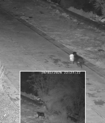 Άνδρας στη Σικελία εκπαίδευσε τον σκύλο του να αφήνει σκουπίδια στον δρόμο για να αποφεύγει κάμερες - Ταυτοποιήθηκε και τιμωρήθηκε.