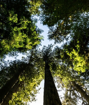 «Καμπάνα» 10 εκατ. ευρώ στην Πορτογαλία από την ΕΕ για την προστασία της βιοποικιλότητας