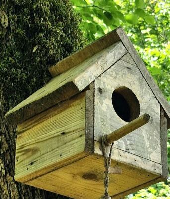 Δημιουργούνται ειδικές φωλιές για τα χελιδόνια και τα πετροχελίδονα σε κτίρια της Αθήνας