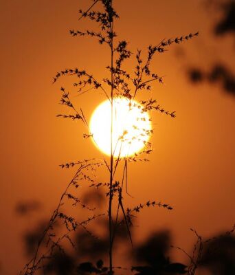 Ελ Νίνιο: Πιθανή επιστροφή από το καλοκαίρι 2026 – Υψηλότερες θερμοκρασίες παγκοσμίως