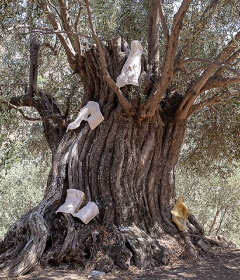 Εγκαίνια για την έκθεση «Nurturing Mechanisms: Συνυφάνσεις στις Καμπόνες» στη Νάξο
