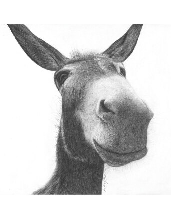 Athens Voice: Το έργο της Εμμανουέλας Λιαγκου στο εξώφυλλο του τεύχους 839