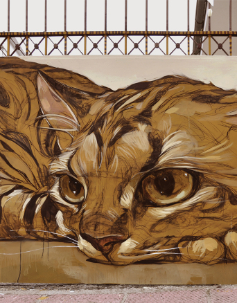 Athens Voice 857 - Σταμάτης Λάσκος