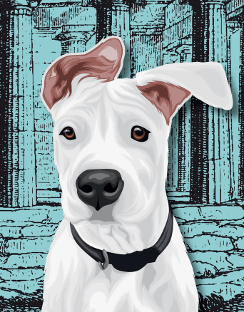 Athens Voice 887 - Ρίαν Νταρμαμά