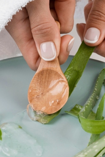 Αλόη Βέρα: Όσα μπορείς να κάνεις με μια μόνο γλάστρα στο σπίτι σου