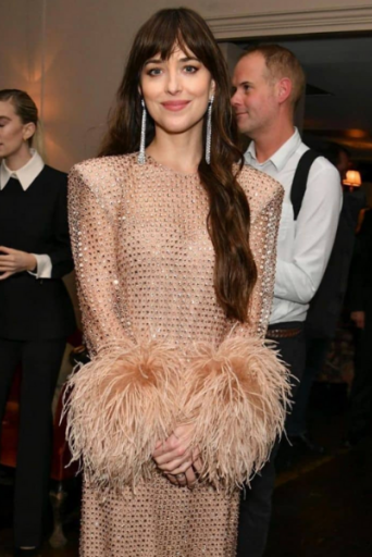 3 party inspo outifits από την Ντακότα Τζόνσον