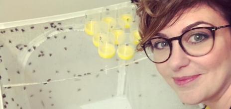 Ποια είναι η επιστήμονας που χρησιμοποιεί έντομα για να ξεσκεπάσει ανεξιχνίαστους φόνους;