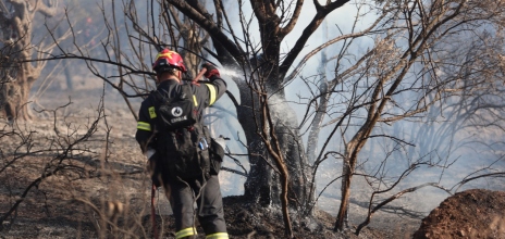 Καλύτερη η εικόνα της φωτιάς στο Λέπρεο Ηλείας