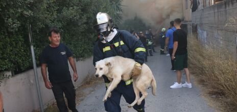 Μεγάλη η φωτιά σε εργοστάσιο στο Ηράκλειο: Καίγονται τρία σπίτια, μήνυμα του 112 για τους καπνούς